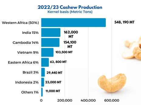 TORQ Company Expands Raw Cashew Nuts Business: Ventures into West ...